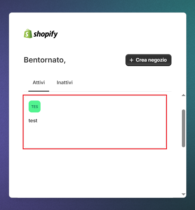shopify_10