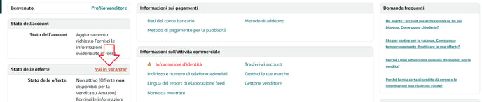 vacanze_amazon_2