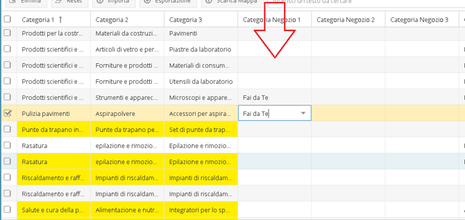 ebay_categorie-1